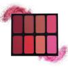 METREY Face blusher 8 color palette | cheek blusher | Blusher | professional blusher | face enhancer | blusher (Shade 04) view 2