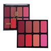 METREY Face blusher 8 color palette | cheek blusher | Blusher | professional blusher | face enhancer | blusher (Shade 04) view 3