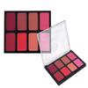 METREY Face blusher 8 color palette | cheek blusher | Blusher | professional blusher | face enhancer | blusher (Shade 04) view 4
