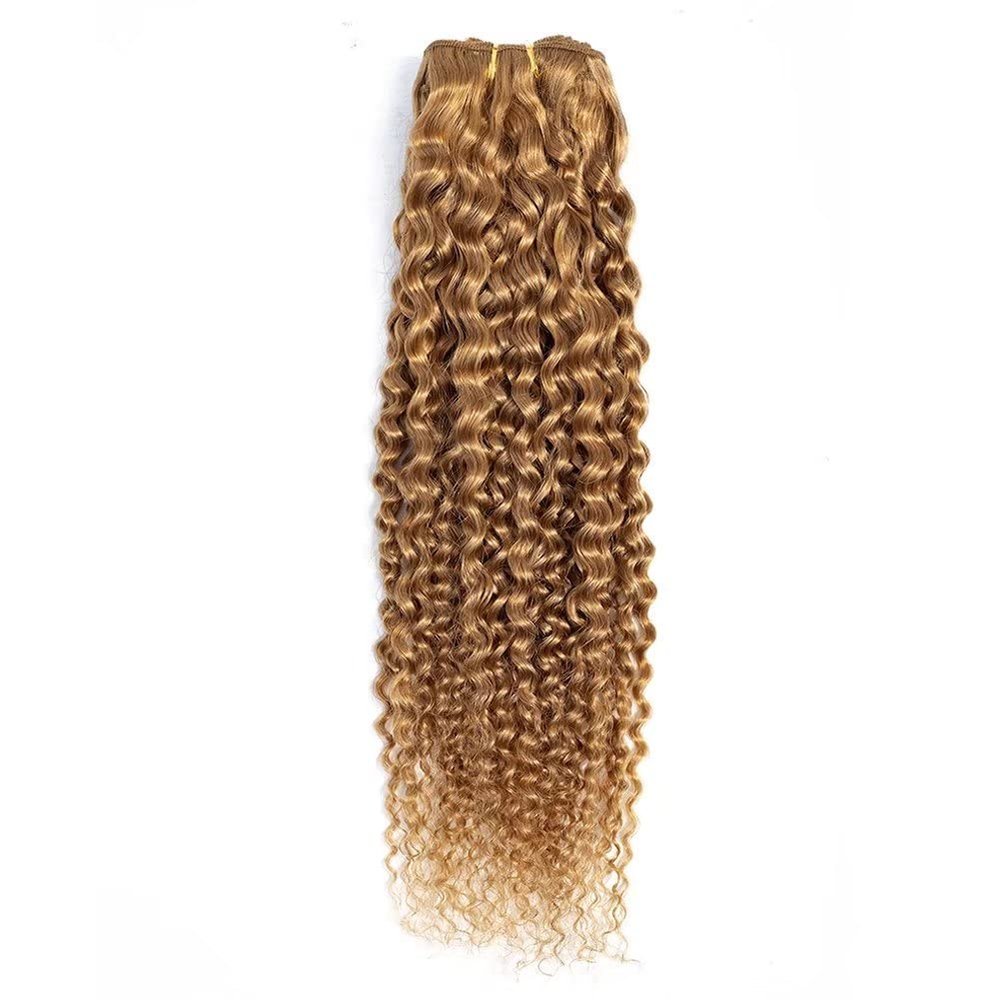FEEL ME 20 Inch Brazilian Curly Human Hair Bundles, Honey Blonde, 10A Unprocessed Virgin, Kinky Curly, 1 Bundle