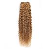 FEEL ME 20 Inch Brazilian Curly Human Hair Bundles, Honey Blonde, 10A Unprocessed Virgin, Kinky Curly, 1 Bundle view 1