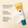 Burt's Bees Lip Balm Stocking Stuffers, Moisturizing Lip Care Christmas Gifts, Rescue Relief - Relieves Extremely Dry Lips with Moisturizing Shea Butter & Echinacea, Natural Origin Treatment (3-Pack) view 2