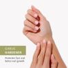 Pronto Garlic Hardener Nail Treatment. Base Coat and Top Coat Nail Strenghtener view 2
