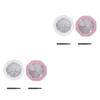 Beavorty 4sets Portable Makeup Mixing Trays for Eyeshadow and Lipstick Convenient Compartment Design Lid for Home Use and Travel view 1
