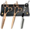 Saki Gold Professional Set of Hair Shears - 6 Inch Set Includes Gold Hair Scissors, Thinning Shears and Razor and Leather Carrying Case view 1