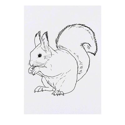 Azeeda 'Squirrel' Temporary Tattoo - Water Resistant, Skin-Safe, Non-Toxic Transfer (TO00043256)