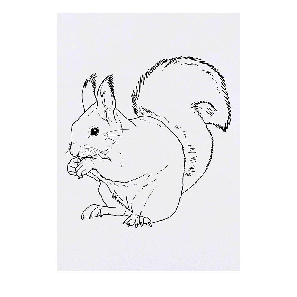 Azeeda 'Squirrel' Temporary Tattoo - Water Resistant, Skin-Safe, Non-Toxic Transfer (TO00043256)