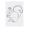 Azeeda 'Squirrel' Temporary Tattoo - Water Resistant, Skin-Safe, Non-Toxic Transfer (TO00043256) view 1