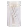 Beavorty 300pcs Lipstick Brush for Lipstick Makeup Tool Plastic Portable for Travel Professional Home Use view 1