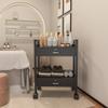 Paddie Salon Trolley Cart, Salon Tray Wooden Mobile Utility Cabinet with 2 Lockable Drawers, Rolling Storage Station Medical Esthetic Supply Holder for Beauty Spa (2 Drawers, Black) view 2