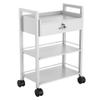 Paddie Salon Trolley Cart, Wooden Mobile Utility Cabinet Lab Cart with 1 Drawer 2 Trays, Rolling Storage Station Beauty Salon Rolling Trolley for Beauty Spa (White) view 1