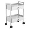 Paddie Salon Trolley Cart, Salon Tray Wooden Mobile Utility Cabinet with 2 Lockable Drawers, Rolling Storage Station Medical Esthetic Supply Holder for Beauty Spa (2 Drawers, White) view 1