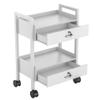 Paddie Salon Trolley Cart, Salon Tray Wooden Mobile Utility Cabinet with 2 Lockable Drawers, Rolling Storage Station Medical Esthetic Supply Holder for Beauty Spa (2 Drawers, White) view 4