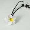 Plumeria Hair Ties Frangipani Flower Hair Clips Pin Plumeria Hair Ring Rope Tie BWF01 (6 PCs-Set A) view 4