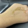 Ju Belle Lu Roe Exfoliating Cleansing Nectar view 3