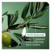 Biolage Strength Recovery Deep Treatment - Instantly Nourishes & Protects, Fortifies Strands, Reduces Breakage, With Olive Squalane & Proteins, Vegan, Paraben-Free view 4