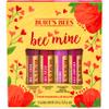 Burt's Bees Bee Mine Lip Balm Gift Set, Strawberry, Dragonfruit Lemon, Pomegranate and Watermelon, 4 Personalized Lip Balms, Pack May Vary view 1
