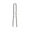 Day Rate Beauty Min Pins (2-Inch, Tube of 12)  Small U-Shaped French Hair Pins for Short Hair, Braids & Updos  Nylon-Coated, Anti-Snag, Hair-Safe  Made in USA (Prosecco) view 1