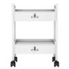 Salon Beauty Cabinet Cart Trolley 2-Layer Rolling Storage Drawer Organizer Wheels Lockable Tool Salon Station Barber Stylist Equipment Makeup Spa Cart (White-2 Layer) view 1