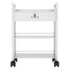 Paddie Salon Beauty Cabinet Cart Trolley 2-Layer Rolling Storage Drawer Organizer Wheels Lockable Tool Salon Station Barber Stylist Equipment Makeup Spa Cart (White-3 Layer) view 1
