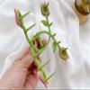 THEPADUA Tulip Flower Hair Claw, Hair Accessories for Women, Flower Hair Clamps, Flower Hair Claws for Women, Elegant and Classy Large Hair Accessories for Women, Pink view 3