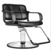 Beautynao Salon Chair Barber Chair Styling Beauty Chair Cutting Chair(Black) view 1