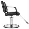 Beautynao Salon Chair Barber Chair Styling Beauty Chair Cutting Chair(Black) view 4