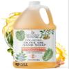 Brittanie's Pure Organic Castile Liquid Olive Oil Soap Refill, Frankincense, 1 Gallon | Face, Body Wash, Dishes, Pets & Laundry | Vegan & Gluten Free Non-GMO view 1