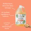 Brittanie's Pure Organic Castile Liquid Olive Oil Soap Refill, Frankincense, 1 Gallon | Face, Body Wash, Dishes, Pets & Laundry | Vegan & Gluten Free Non-GMO view 4