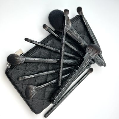 10 Piece Glitter Pro Brush Set