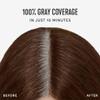 Madison Reed Root Perfection Permanent Root Touch Up, Medium Golden Brown 6G Dervio, 10 Minutes for 100% Gray Root Coverage, Ammonia-Free Hair Dye, Two Applications view 3