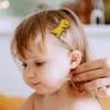 6 pcs Cartoon Dinosaur Hair Clips ,Cute Animal Pattern Barrettes for Girl Lady Hair Clip Headdress Hairstyle Decorate Supplies view 3