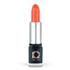 Audaz Lipstick by Roman Color Cosmetics view 1