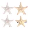 KALLORY Shell Hair Clip, Hair Pins Mermaid Alligator Clips Beach Cute Hair Accessories for Girls (4pcs) view 1
