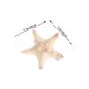 KALLORY Shell Hair Clip, Hair Pins Mermaid Alligator Clips Beach Cute Hair Accessories for Girls (4pcs) view 4