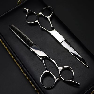 Professional Hair Cutting Shears, 6inch Professional Japan 440c steel Upscale Silver hair scissors haircut thinning barber cutting shears hairdressing scissors (Color : Set with bag)