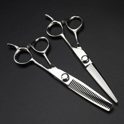 Professional Hair Cutting Shears, 6inch Professional Japan 440c steel scissor Silver hair scissors cutting barber haircut thinning shears hairdresser scissors (Color : Set)