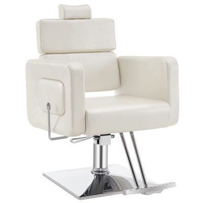 BarberPub Classic Hydraulic Barber Chair Recline Adjustable Salon Styling Beauty Spa Chair 2065 (Champagne)