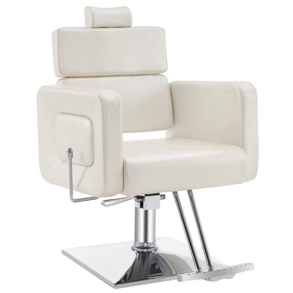 BarberPub Classic Hydraulic Barber Chair Recline Adjustable Salon Styling Beauty Spa Chair 2065 (Champagne)