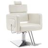 BarberPub Classic Hydraulic Barber Chair Recline Adjustable Salon Styling Beauty Spa Chair 2065 (Champagne) view 1