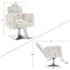 BarberPub Classic Hydraulic Barber Chair Recline Adjustable Salon Styling Beauty Spa Chair 2065 (Champagne) view 2