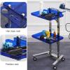 Rolling Salon Tray Cart Barber Trolley, Multifunction Hair Tool Organize Stand with Foldable Storage Tray, Premium Tattoo Service Tray Hair Color Station, Stainless Steel and Acrylic view 4