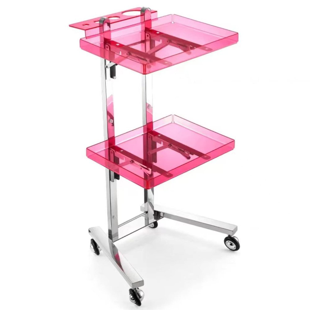Rolling Salon Tray Cart Barber Trolley, Multifunction Hair Tool Organize Stand with Foldable Storage Tray, Premium Tattoo Service Tray Hair Color Station, Stainless Steel and Acrylic