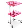 Rolling Salon Tray Cart Barber Trolley, Multifunction Hair Tool Organize Stand with Foldable Storage Tray, Premium Tattoo Service Tray Hair Color Station, Stainless Steel and Acrylic view 1