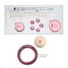3D Areola Tattoo Measurements Set for 3D Nipple Areola Tattoo Training Scale Areola Ruler view 1