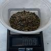 Blue Tiger's Eye - Just Above 2mm - no Powder - 100% Blue Tiger Eye Life+Love! Enhancing! Clear Focus! ja2(1 Ounce) view 4