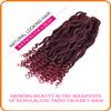 12 Inch Crochet Braids Senegalese Twist Crochet Hair for Black Women 6 Packs Havana Twist crochet hair With Curly Ends (TBUG#, 12 Inch) view 3