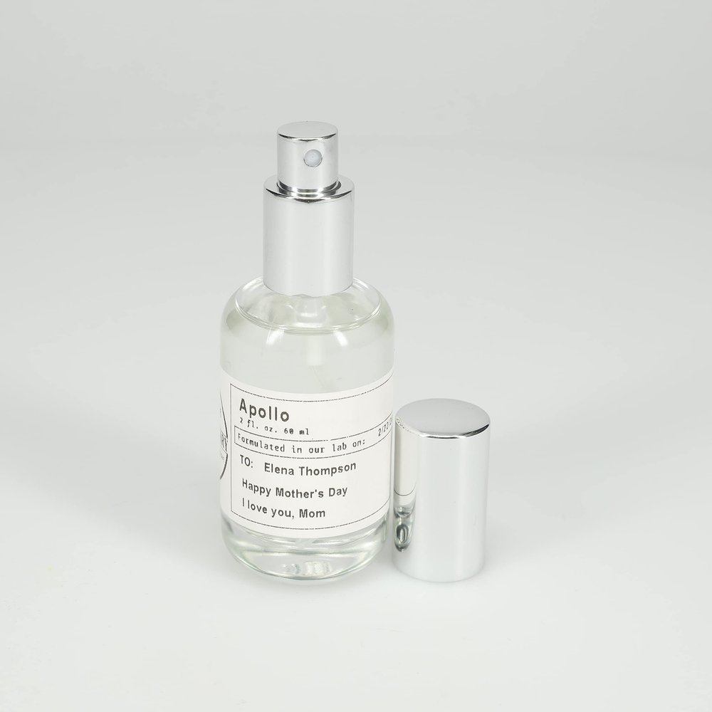 Aniise 2 Fl Oz Fragrance Oil - Neptune Scent - Long-Lasting Fragrance - Inspired by OUD & BERGAMOT/Rich Earthy Luxury Scent with A Hint of Citrus