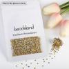 Beadsland 2880pcs Flat Back Crystal Rhinestones Round Gems for Nail Art and Craft Glue Fix,Metal Sunlight,SS10,2.7-2.9mm view 4