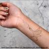 Azeeda 4 x 'Trans Pride Goose' Temporary Tattoos - Water Resistant, Skin-Safe, Non-Toxic Transfers, Mixed Sizes (TO00051443) view 2